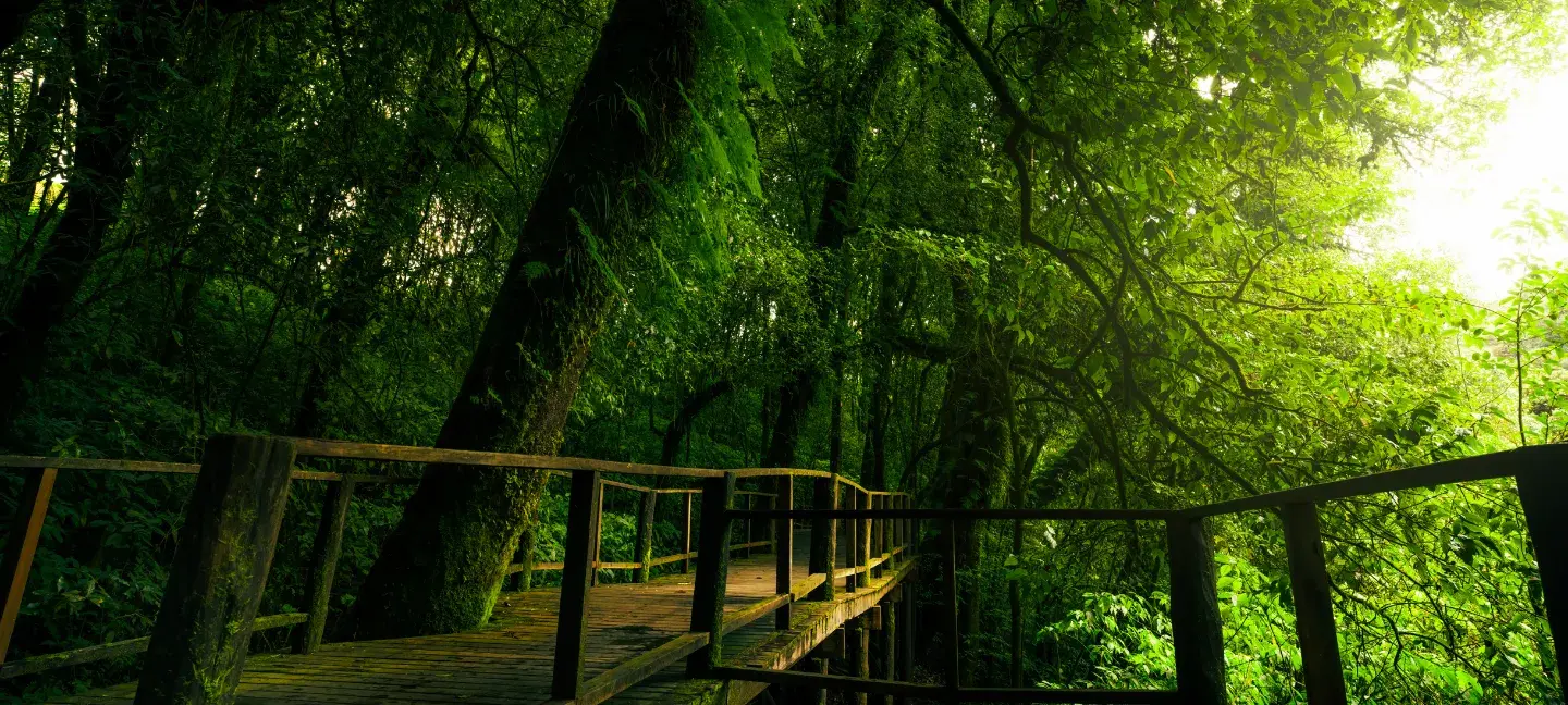 Natuur - Natuurbescherming