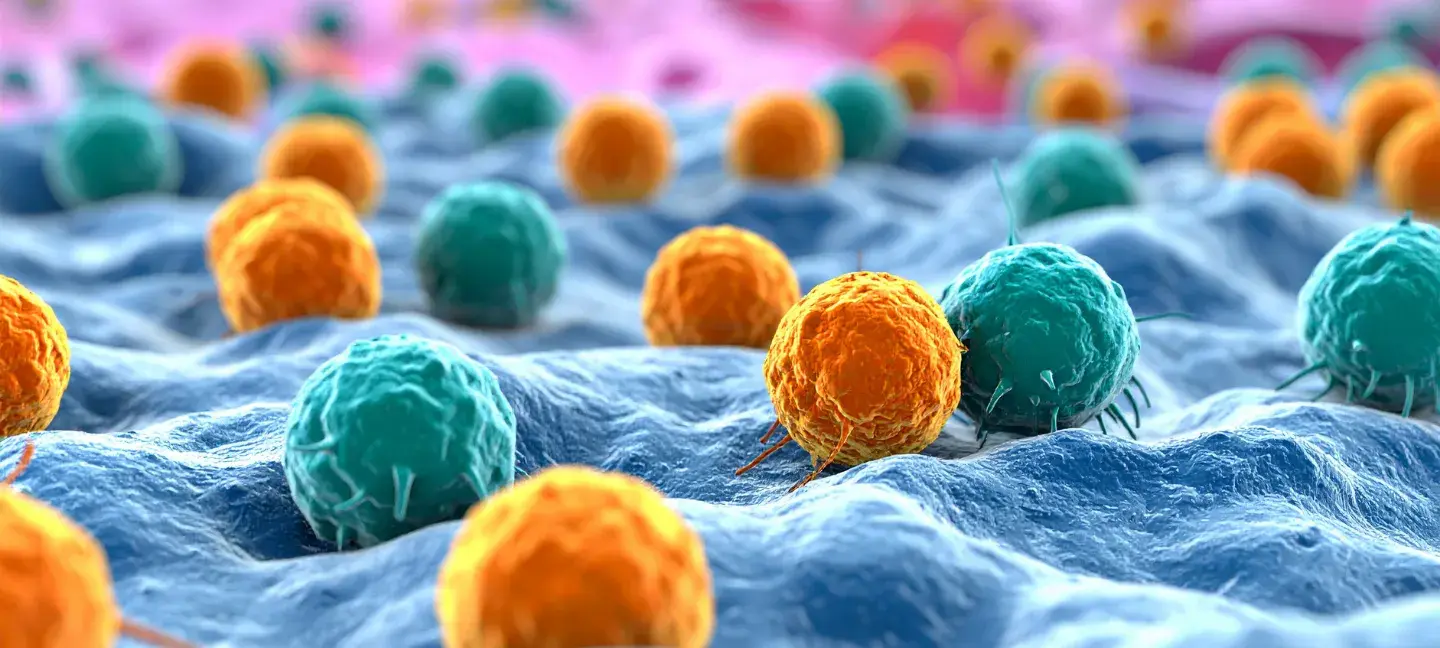 Immunologie