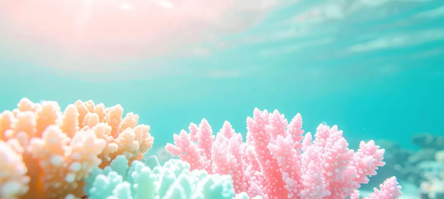 Koraalrif - Oceaan - Milieu - Natuurbescherming - Maritiem
