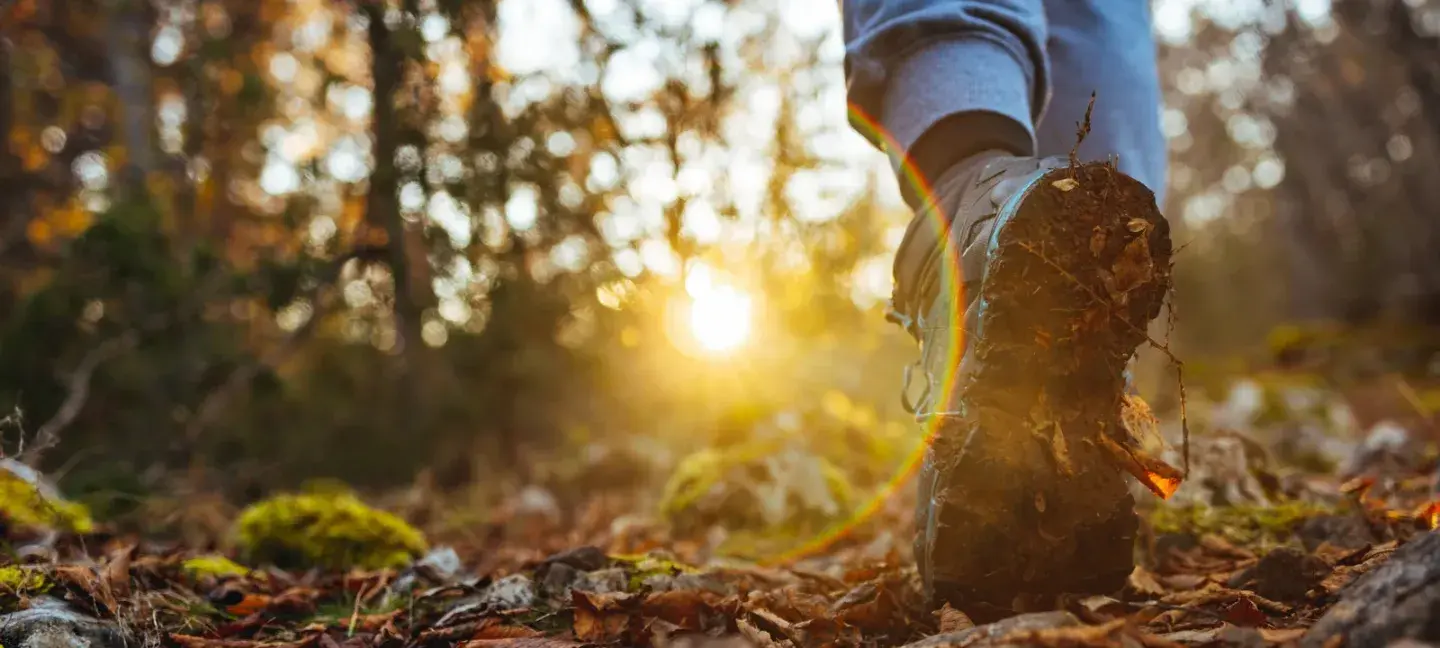 Men en natuur - Natuur - Wandeling
