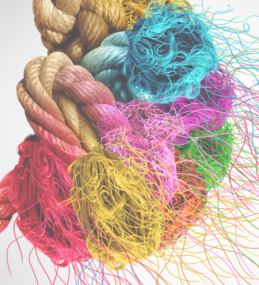 Mastermind - Knoop - Programma - Hersenen
