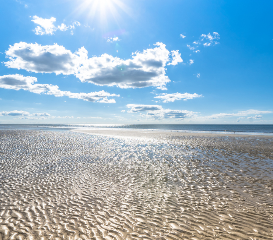 Noordzee - Wadden - Strand - Natuur
