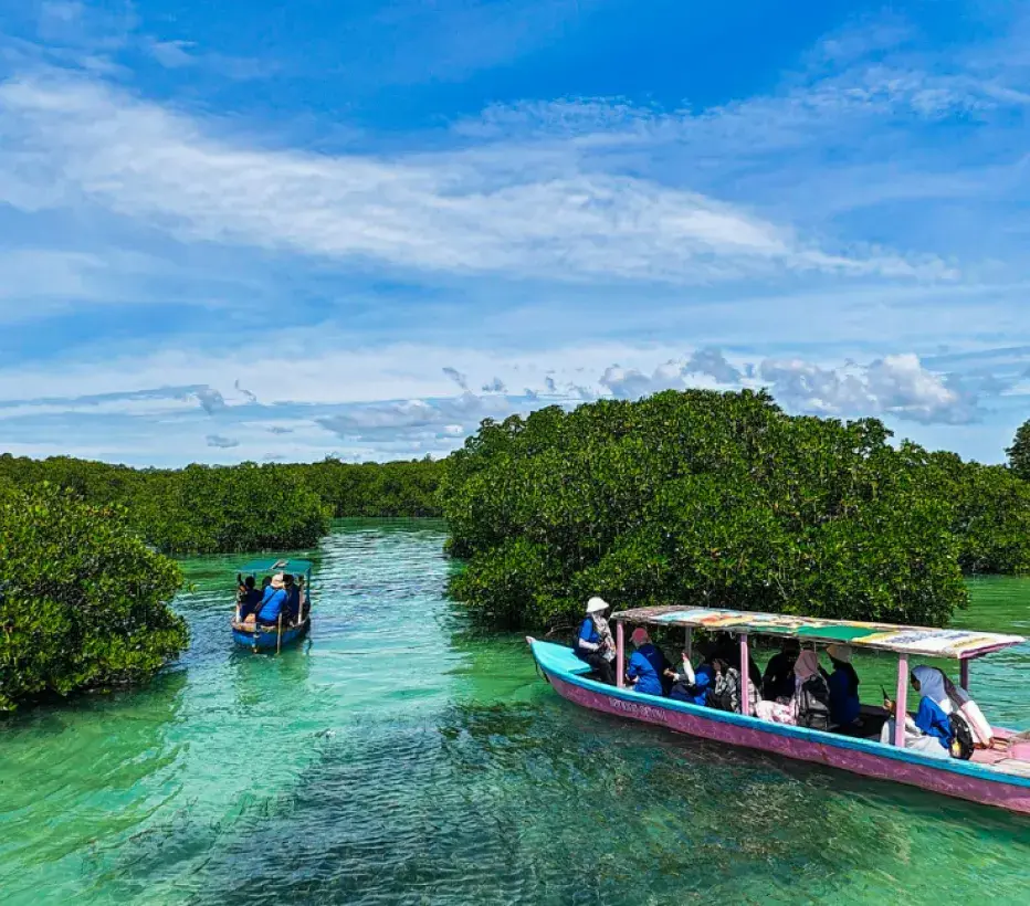 Mangrove - Natuurbescherming - Natuur ontwikkelingslanden