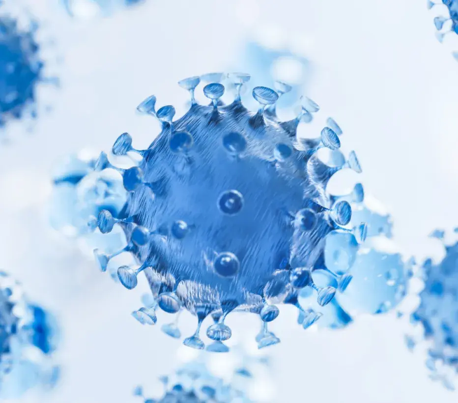 Infectie -Infectieziekte - Infecties