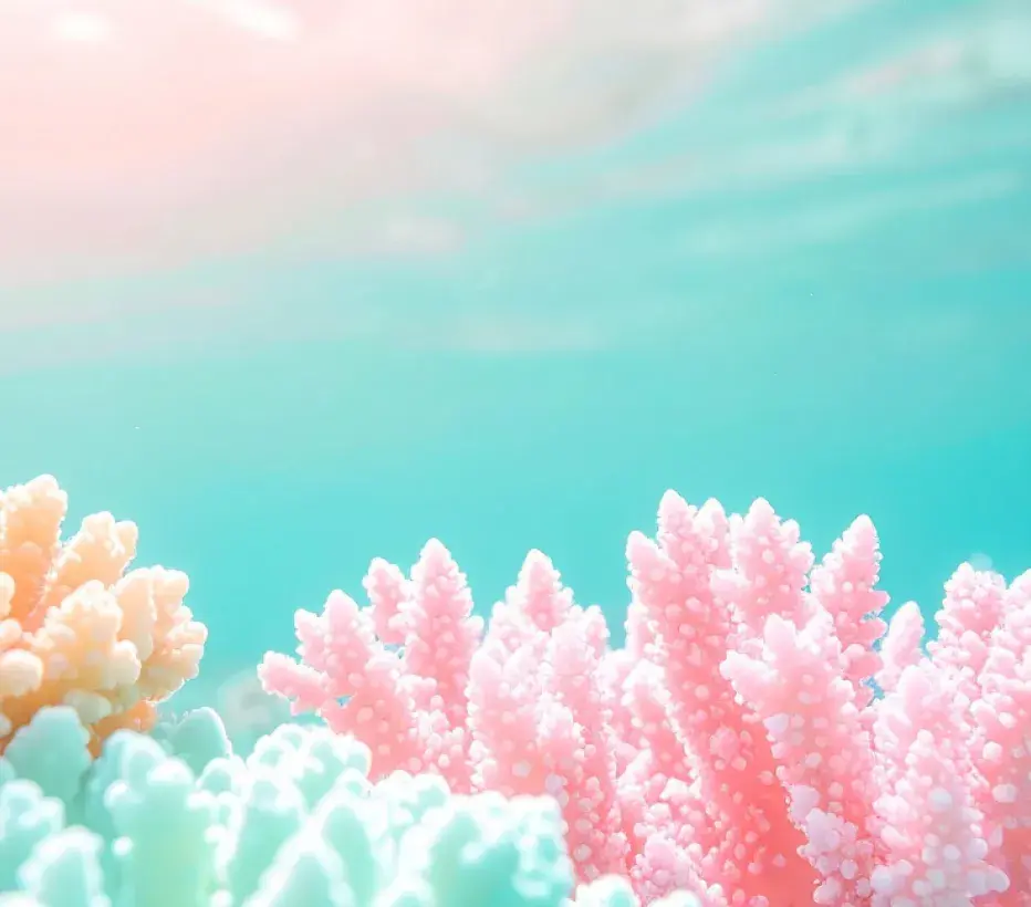 Koraalrif - Oceaan - Milieu - Natuurbescherming - Maritiem