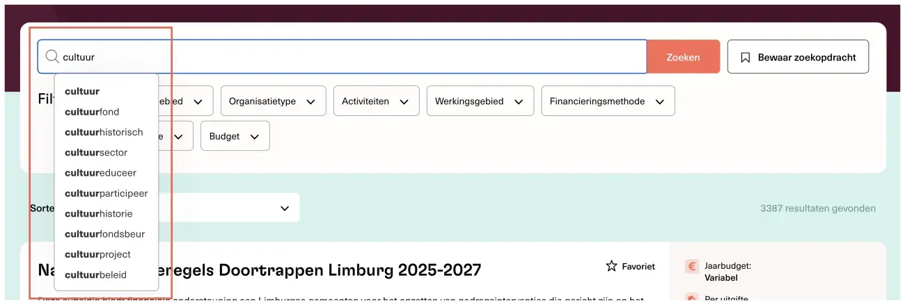 De nieuwe autosuggest functie