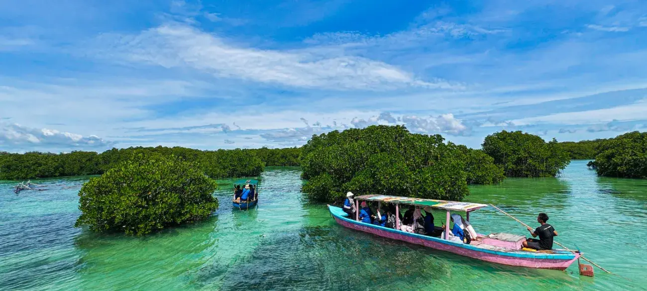 Mangrove - Natuurbescherming - Natuur ontwikkelingslanden