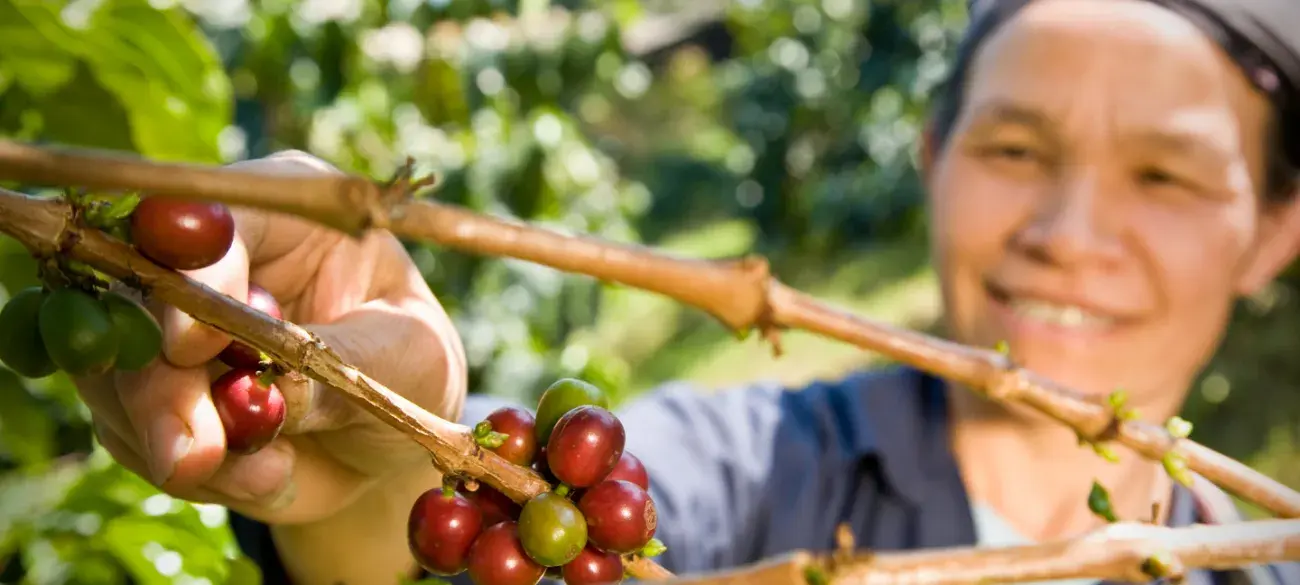 Fair trade - Koffie